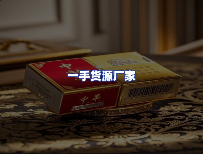 专业团队